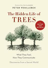 The Hidden Life of Trees by Peter Wohlleben Shiksha Books